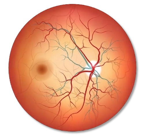 Retina bhopal